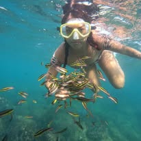 Snorkel
